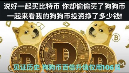 哪里可以买狗狗币(哪里可以买狗狗币呢)