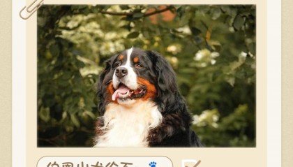 doge价格(doge价格今日行情)