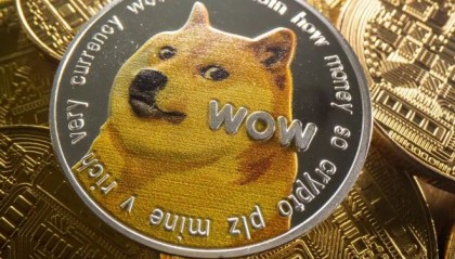 宝贝狗币(宝贝狗币今日行情)