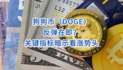 doge是什么币(doge是什么币创始人)