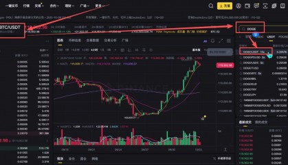 包含币安注册网址的词条