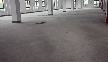 骆驼哪里有房屋租赁(骆驼房屋出租二室一厅)